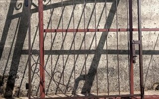 железная распашная решетка